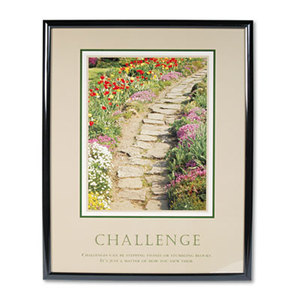 "Challenge" Framed Motivational Print, 24 x 30 by ADVANTUS CORPORATION