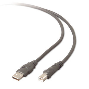 Belkin International, Inc F3U133V06 Pro Series High-Speed USB 2.0 Cable, 6 ft. by BELKIN COMPONENTS