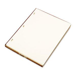 ACCO Brands Corporation W901-10 Looseleaf Minute Book Ledger Sheets, Ivory Linen, 11 x 8-1/2, 100 Sheet/Box by WILSON JONES CO.