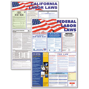 State/Federal Labor Law Legally Required Multi-Colored Poster, 24 x 36 by ADVANTUS CORPORATION