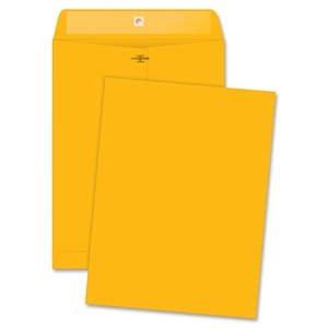 QUALITY PARK PRODUCTS 37891 Clasp Envelopes, Hi-Bulk, 9"x12", 100/BX, Kraft by Quality Park