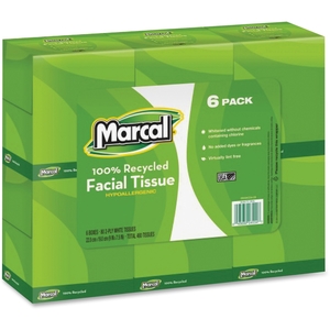 Facial Tissue, 2-Ply, 80Sht/BX, 6BX/CT, White by Marcal Small Steps