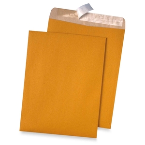 QUALITY PARK PRODUCTS 44511 Redi-Strip Envelopes, 9"x12", 100/BX, Kraft by Quality Park