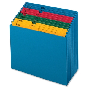 Tops Products 20135 Monthly Project File, Jan-Dec, 12 Pockets, Letter, Blue by Globe-Weis