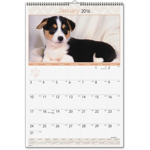 ACCO Brands Corporation DMW16728 Monthly Wall Calendar,12Mth Jan-Dec,15-1/2"x22-3/4",Puppies by At-A-Glance