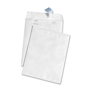 QUALITY PARK PRODUCTS R3140 Tyvek Leather-Like Envelopes, Plain, 10"x13", 100/BX, White by Quality Park