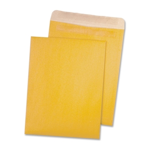 QUALITY PARK PRODUCTS 43511 Redi-Seal Envelopes, 9"x12", 100/BX, Kraft by Quality Park