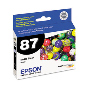 Epson Corporation T087820 T087820 UltraChrome Hi-Gloss 2 Ink, Matte Black by EPSON AMERICA, INC.