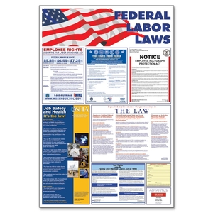 Advantus Corporation 83800 Federal Labor Law Poster, 24"x36", Multi by Advantus