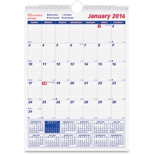 Dominion Blueline, Inc C171101 Wall Calendar, English, 2010, 1PPM, 8" x 11",WE by Rediform