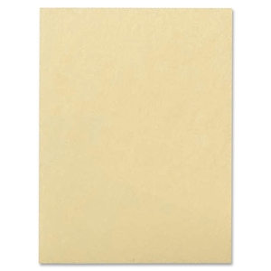 EDUCATIONAL INSIGHTS 4112 Drawing Paper,Standard-Weight,12"x18",500 SH,Cream Manila by Pacon