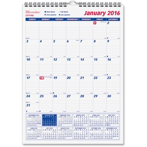 Dominion Blueline, Inc C171102 Wall Calendar, English, 2010, 1PPM,12"x17",WE by Rediform