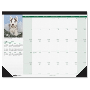 HOUSE OF DOOLITTLE 199 Desk Pad, "Puppies", 12 Months, Jan-Dec, 22"x17" by House of Doolittle