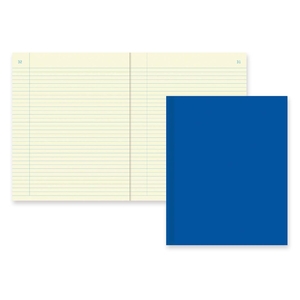 Dominion Blueline, Inc 43581 Chemistry Notebook,NR w/ Margin,60 SH,11"x8-1/2",BE Cover by Rediform