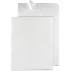 QUALITY PARK PRODUCTS 85480 Envelope,Snowpack,9X12 by Quality Park