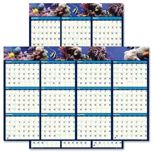 HOUSE OF DOOLITTLE 3969 2-Sided Lamnated Wall Cal, 12Mths Jan-Dec, 24"x37", Multi by House of Doolittle