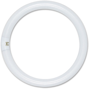 Satco Products, Inc S6500 T9 Fluorscent Tube, Circle, 22W, 1120Lumens, White by Satco