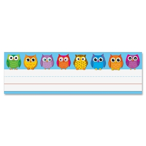 Carson-Dellosa Publishing Co., Inc 122029 Owl Nameplates, 9-1/2"x2-7/8", 36/PK, Multi by Carson-Dellosa