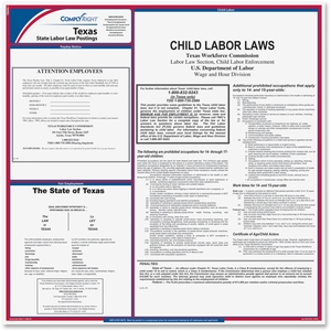 TFP Data Systems E10TX Texas State Labor Law Poster, Multi by TFP ComplyRight