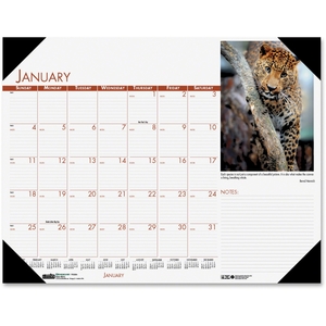 Desk Pad Calendar, 12Mths Jan-Dec, 18-1/2"x13", Wildlife by House of Doolittle