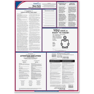 TFP Data Systems E10NY New York State Labor Law Poster, Multi by TFP ComplyRight