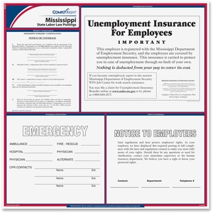 TFP Data Systems E10MS Mississippi State Labor Law Poster, Multi by TFP ComplyRight