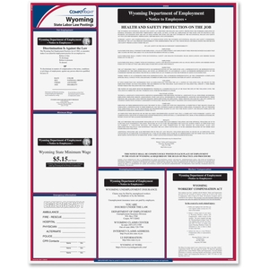 TFP Data Systems E10WY Wyoming State Labor Law Poster, Multi by TFP ComplyRight