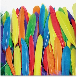 Duck Quill Feathers, 3Oz., 96Pcs/St, Assorted by ChenilleKraft