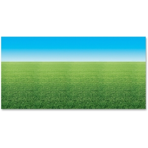 PACON CORPORATION 56928 Summer Horizon Fadless Paper, 48"X12' Rl, Mi by Pacon