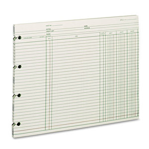 ACCO Brands Corporation WGN2DA Accounting, 9-1/4 x 11-7/8, 100 Loose Sheets/Pack by WILSON JONES CO.