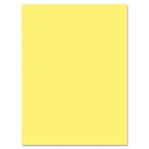 PACON CORPORATION 8417 SunWorks Construction Paper by Pacon