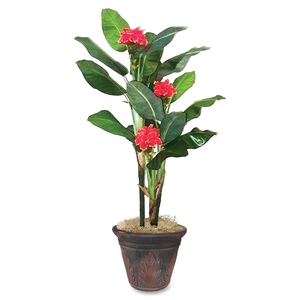 Glolite Nudell LLC T7763 Artificial Flowering Banana Tree, Life-like, 7', Green by Glolite Nu-dell