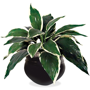Glolite Nudell LLC T7960 Artificial Hosta Tabletop Plant, 6", Green by Glolite Nu-dell