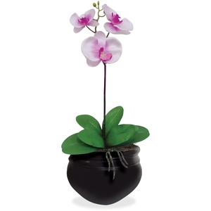 Glolite Nudell LLC T7980 Artificial Orchid Plant, 6", Pink/White by Glolite Nu-dell