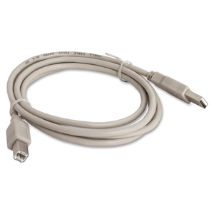 Compucessory 11150 A-B USB 2.0 Cable, Plug and Play, 6', Gray by Compucessory