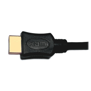 Avery 11161 HDMI Cable, 12', Black by Compucessory