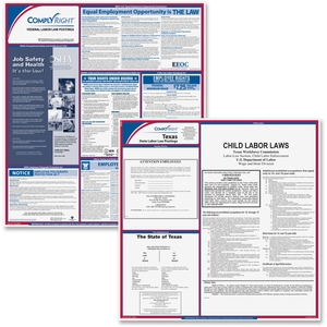 TFP Data Systems E50TX Texas Fed/State Labor Law Kit, Multi by TFP ComplyRight