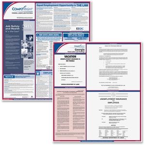 TFP Data Systems E50GA Georgia Fed/State Labor Law Kit, Multi by TFP ComplyRight