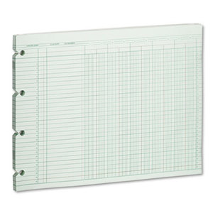 Accounting Sheets, 10 Column, 9-1/4 x 11-7/8, 100 Loose Sheets/Pack, Green by WILSON JONES CO.