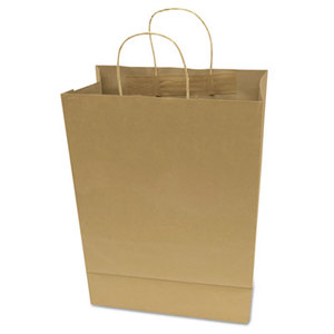 Consolidated Stamp Manufacturing Company 091566 Premium Large Brown Paper Shopping Bag, 50/Box by CONSOLIDATED STAMP