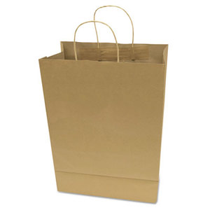 Premium Small Brown Paper Shopping Bag, 50/Box by CONSOLIDATED STAMP